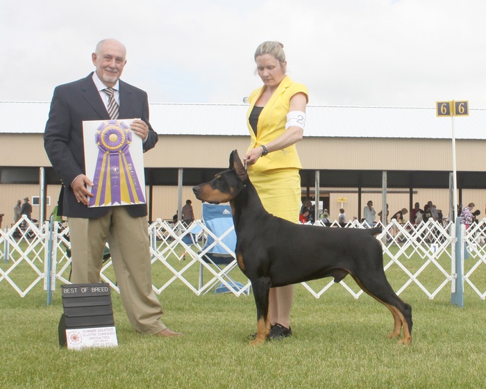 Best-Of-Breed-Gtcdpc-Speciality-2013