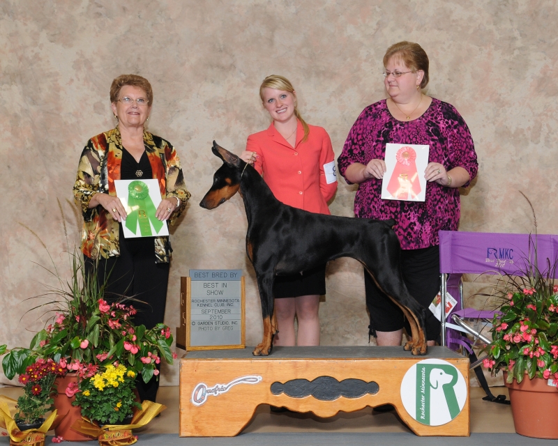 Dior Best in Show Bred by 091810