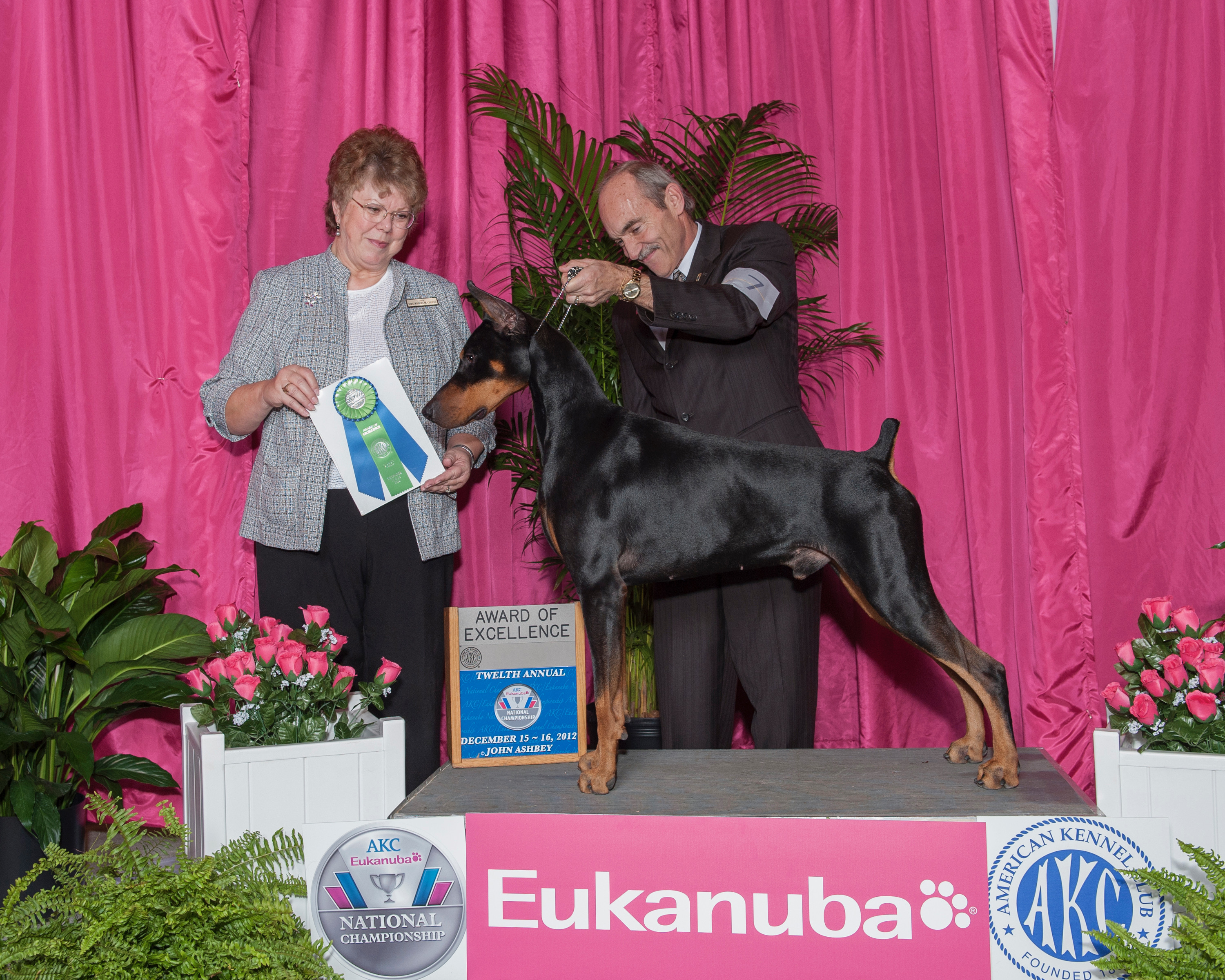 Doberman receiving award at a dog show