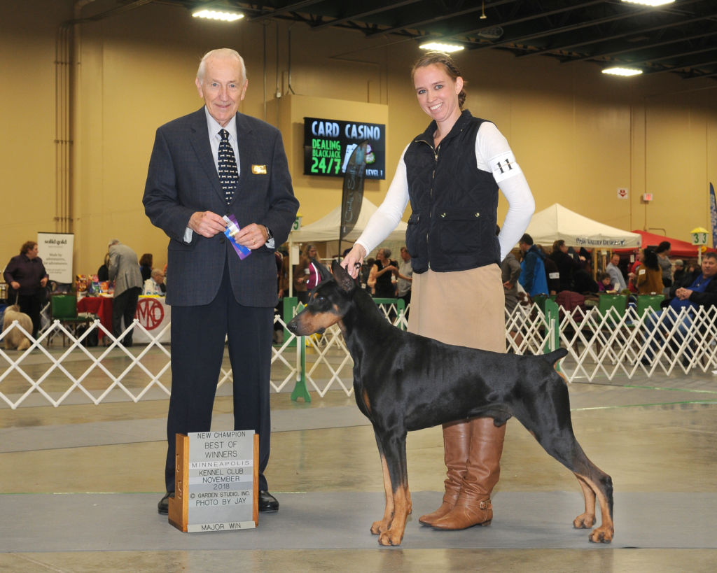 People presenting dog show awards