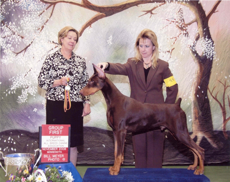 People presenting dog show awards