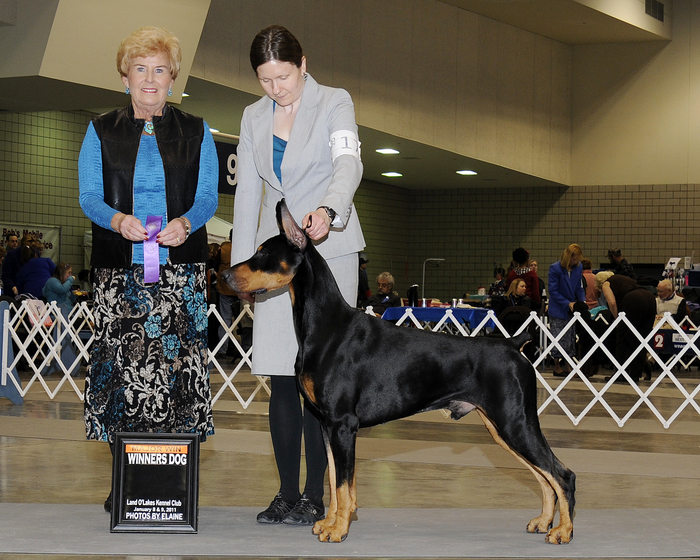 Winners-Dog-Landolakes-2011