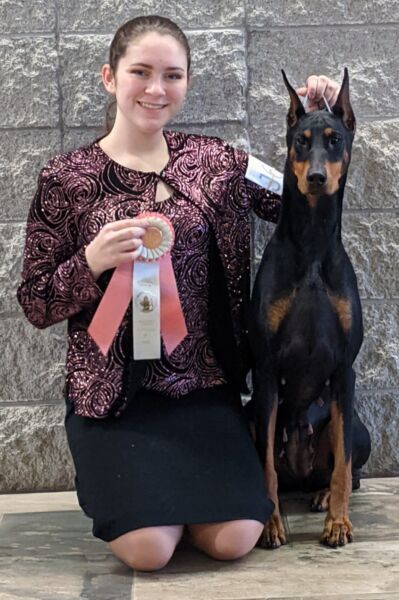 Raven Springfield, MO Reserve Best Junior Handler in a competitive lineup.